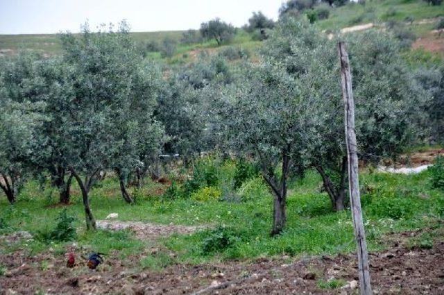 Reyhanlı da Yine Bomba Alarmı 3