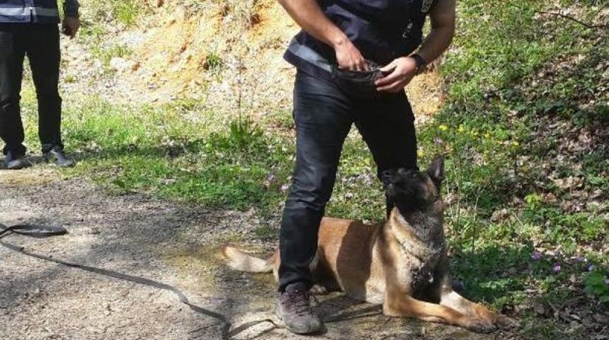 Kayıp Kişileri  Artık "tim" Bulacak