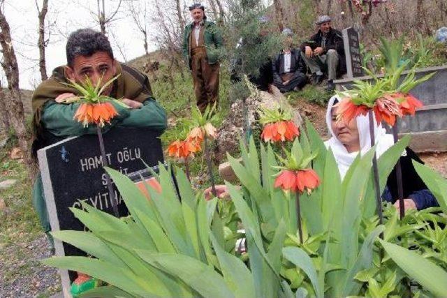 Chp li Onur Ve Haytap Üyeleri, Öldürülen Katırlar Için Suç Duyurusunda Bulundu 3