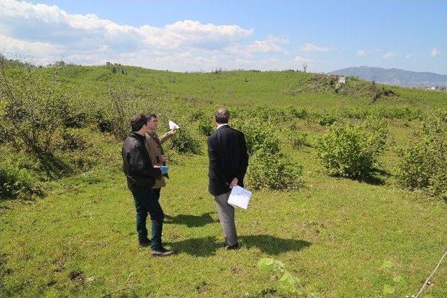 Odü Hastanesi 3 Yıl Sonra Hayata Geçecek 1