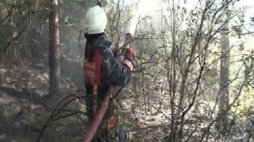 Beykoz'daki Orman Yangını 1 Saatte Kontrol Altına Alındı