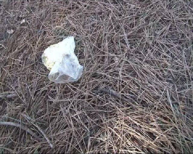 Beykoz daki Orman Yangını 1 Saatte Kontrol Altına Alındı 2