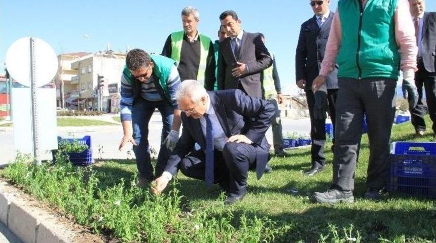 Erzincan &Ccedil;i&ccedil;ek A&ccedil;tı