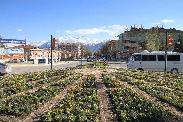 Erzincan Çiçek Açtı