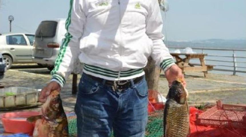 Uluabat, Baharda Bir Başka G&uuml;zel