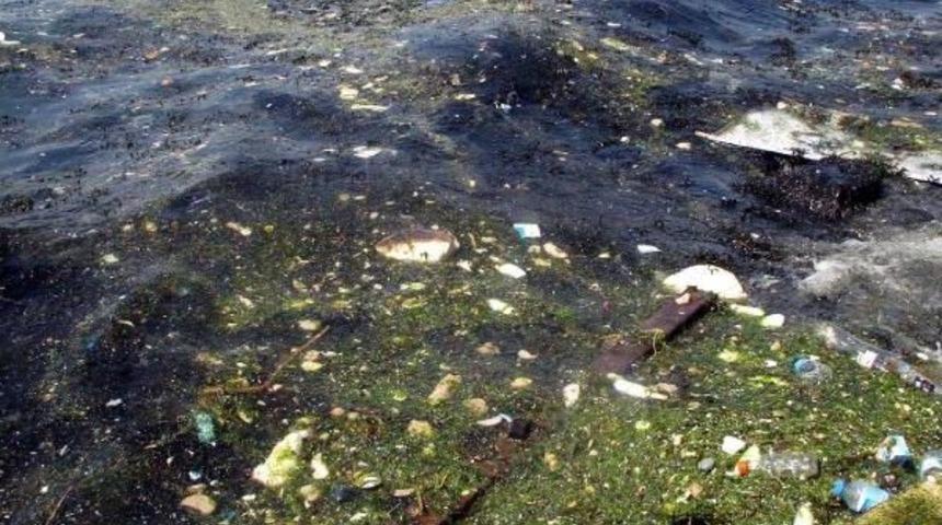 İzmir K&ouml;rfezi'nde Kirlilik