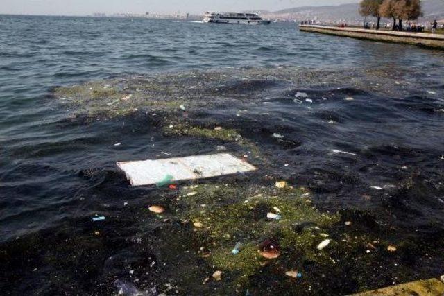 İzmir K&ouml;rfezi nde Kirlilik 3