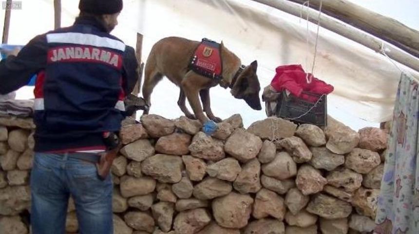 Diyarbakır'da 15 Kilo Esrara 2 G&ouml;zaltı