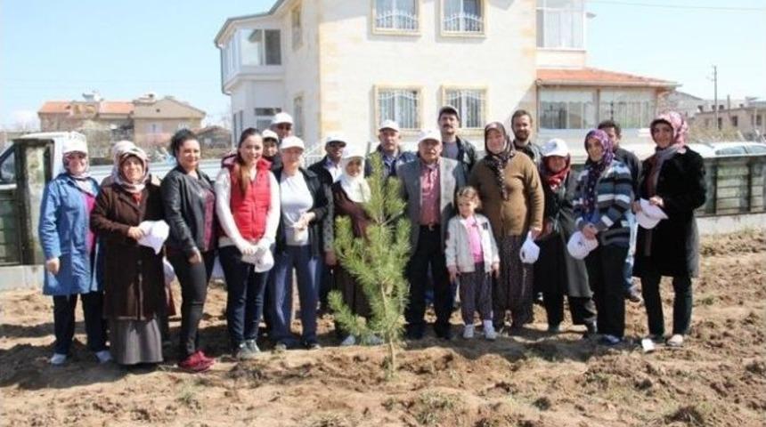 U&ccedil;hisarlı Bayanlar Fidan Dikti