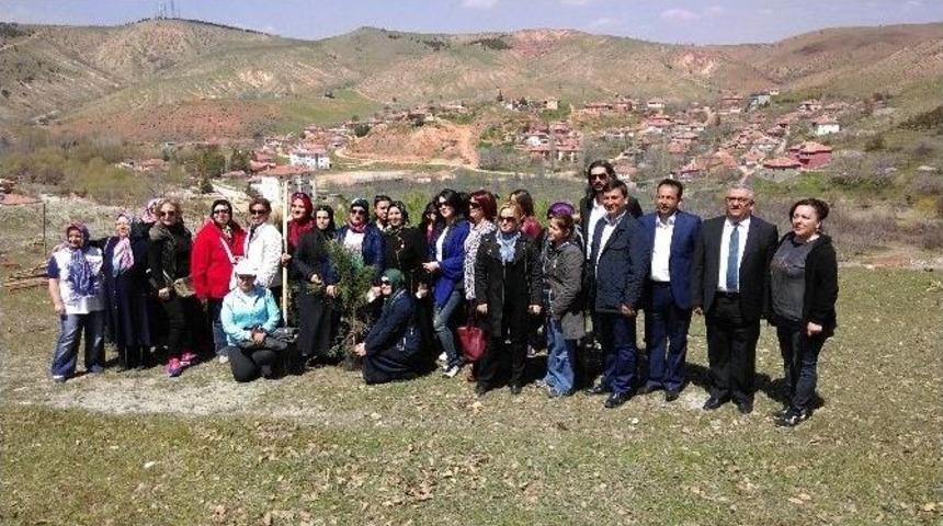 Kırıkkale&rsquo;de Kadın Girişimciler Fidan Dikti