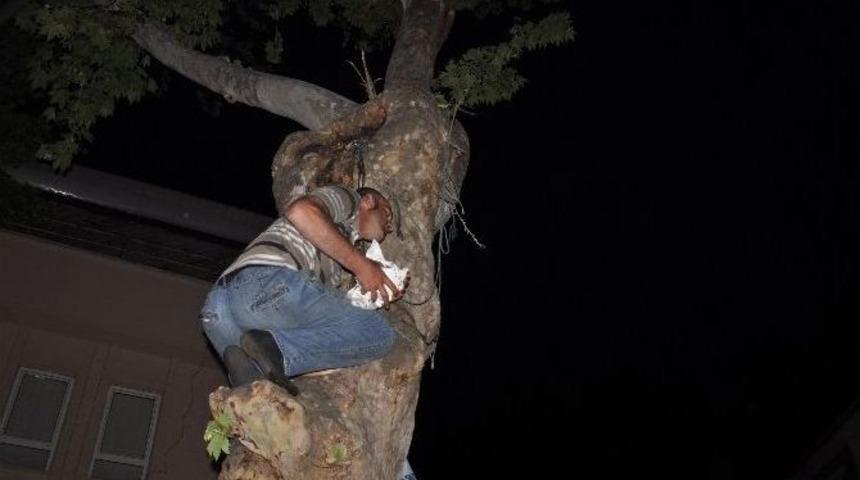 Alkoll&uuml; Vatandaş Ekmek Zammına Tepki İ&ccedil;in İkinci Defa &Ccedil;ıktığı Ağa&ccedil;tan D&uuml;ş&uuml;p Ağır Yaralandı