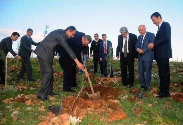 Milli Eğitim Bakanlığı Müsteşar Yardımcısı: Okullar Suriyeli Çocuklara Da Açılacak