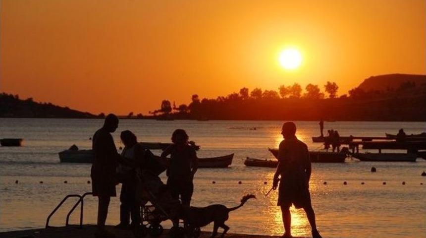 Hayvanların Zehirlediği İddialarına Başkan Demirağ&rsquo;dan Tepki