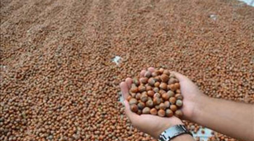 Kuvvet veren 14 gıda