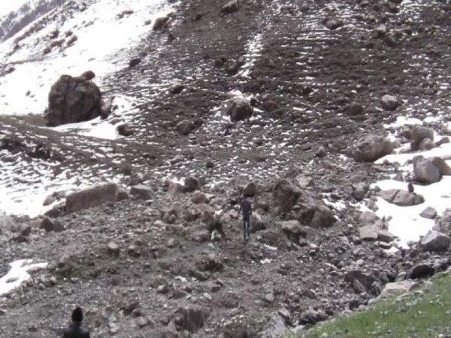 Ka&ccedil;ak Avlanan Keklikleri Doğaya Bıraktılar 1