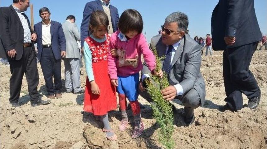 Ereğli&rsquo;de 4 Bin Adet Fidan Dikildi