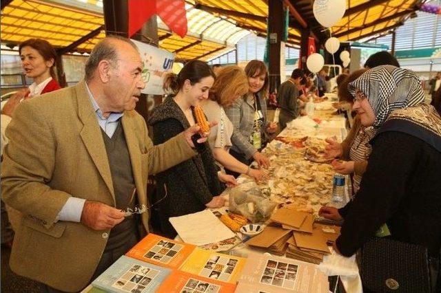 Organik Pazarda Çiftçiler Tohumlarını Takas Etti 2