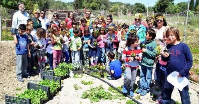 Halikarnas Balıkçısı'nın Doğa Sevgisi Çocuklara Örnek Oldu