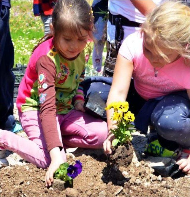 Halikarnas Balıkçısı'nın Doğa Sevgisi Çocuklara Örnek Oldu