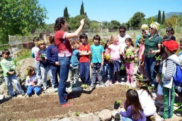 Halikarnas Balıkçısı'nın Doğa Sevgisi Çocuklara Örnek Oldu