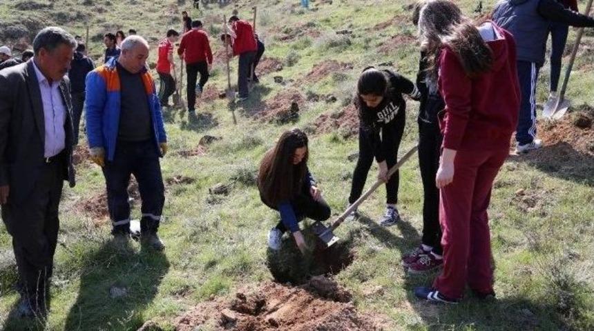 Yeşilyurt Mahallesi&rsquo;ne &Ouml;ğrencilerin Katılımı İle 500 Adet &Ccedil;am Fidanı Dikildi