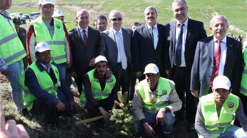 &ldquo;ağa&ccedil; Dikme&rdquo; Projesi Başladı