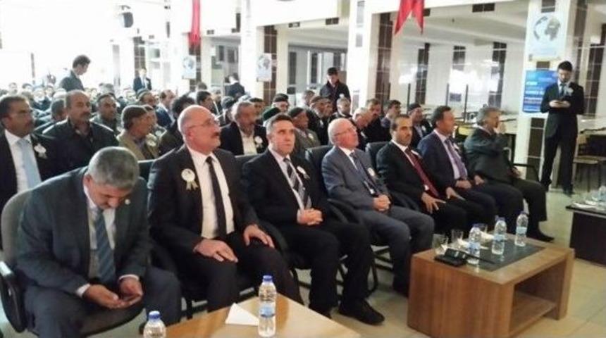 &Ccedil;at&rsquo;ta Kutlu Doğum Coşkusu