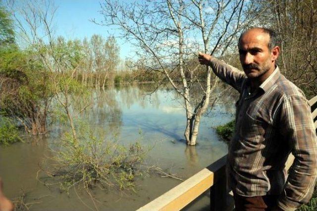 Pazar'da Tarım Arazileri Su Altında Kaldı