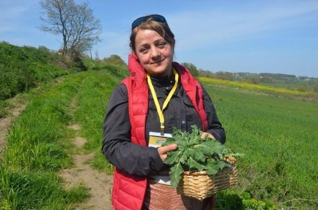 Bafra&rsquo;da "ot Toplama Yarışması"