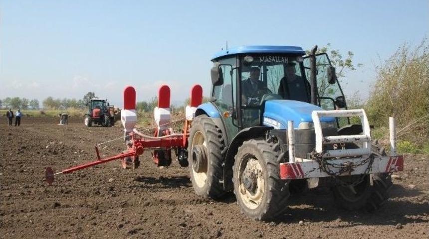 Hatay&rsquo;da Yer Fıstığı Ekimi Başladı