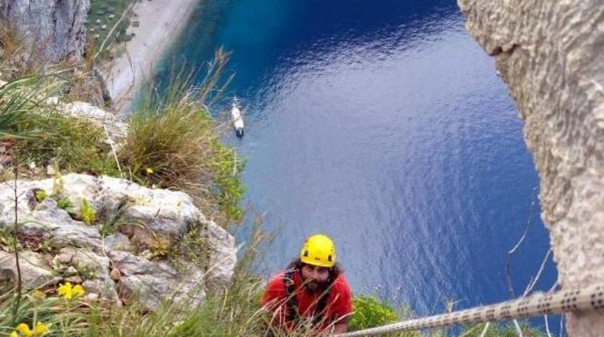 Kelebekler Vadisi'nde Mahsur Kalan Oğlağı Akut Kurtardı
