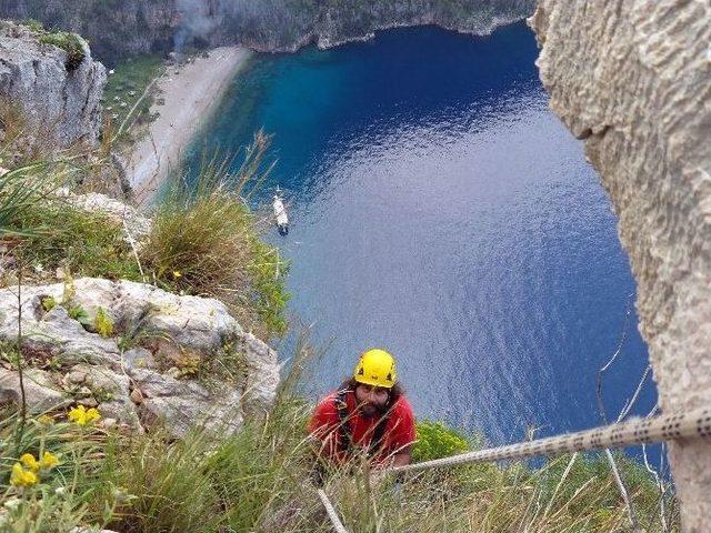 Akut Oğlak Kurtardı 1