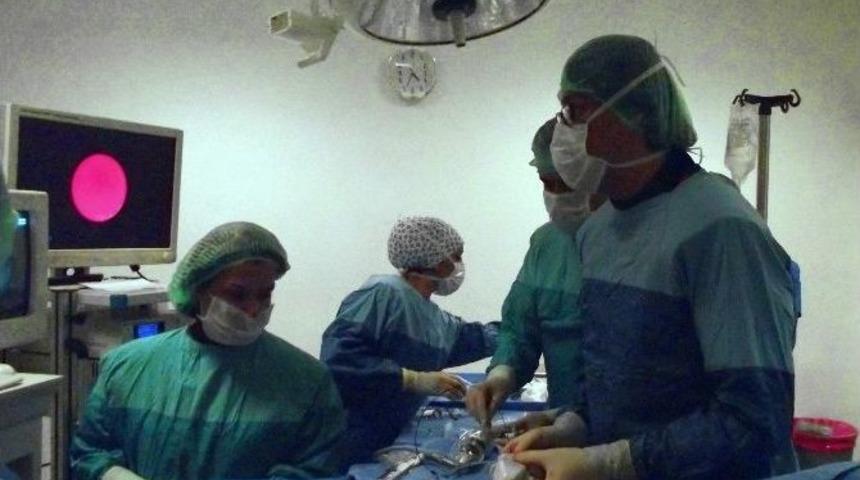 Bel Fıtığında Lazerle Endoskopik Disk Cerrahisi, Yüzleri Güldürüyor