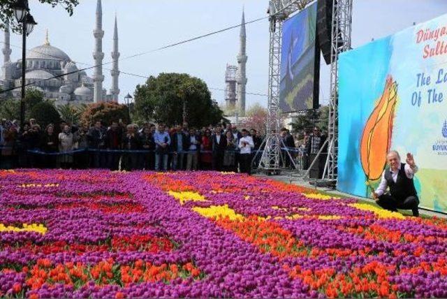 İstanbul'a Dünyanın En Büyük Lale Halısı