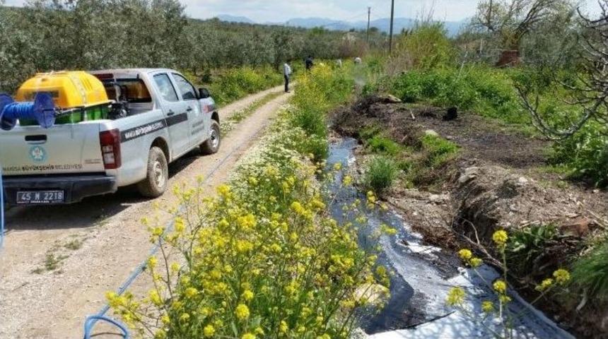 İla&ccedil;lama Ekipleri Haşereyle M&uuml;cadeleye Hız Verdi