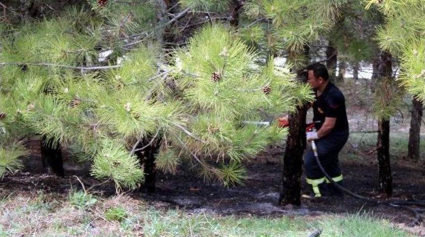 Eskişehir&rsquo;de Orman Yangını