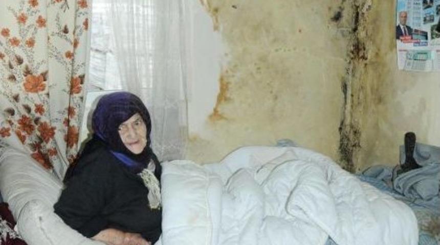 Cumhurbaşkanından Yardım Isteyen Yaşlı Kadın Ile Ilgili Kaymakamlıktan Açıklama