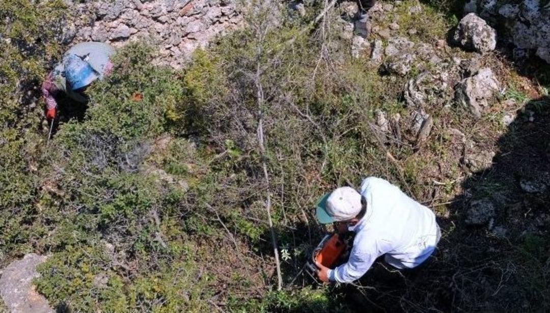 Kepez Belediyesi&rsquo;nden Turizme Arkeopark Desteği