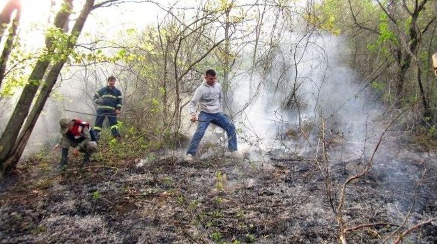 Ordu&rsquo;da Orman Yangını