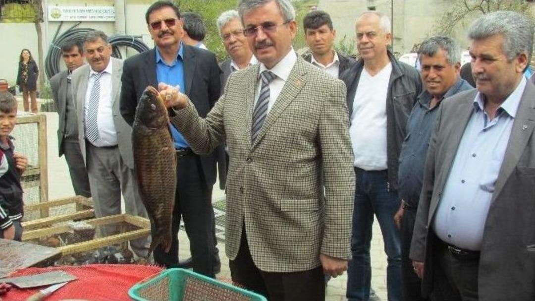 Balkız&rsquo;dan &lsquo;bizimle Y&uuml;r&uuml; Manisa&rsquo; Mesajı