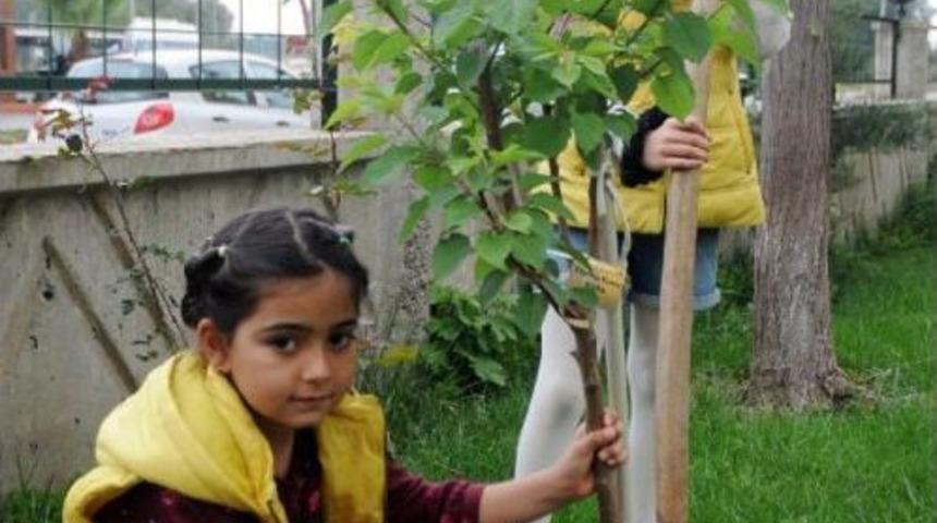 Adlarının Yazılı Olduğu Ağa&ccedil;larla B&uuml;y&uuml;yecekler