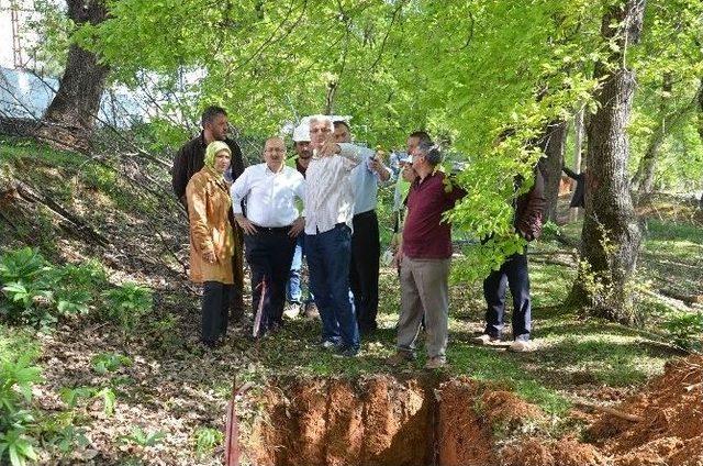 Başkan Gümrükçüoğlu, Botanik Park Çalışmalarını İnceledi