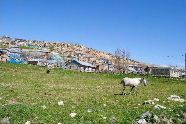 K&ouml;yl&uuml;lerin G&ouml;let Protestosu 2