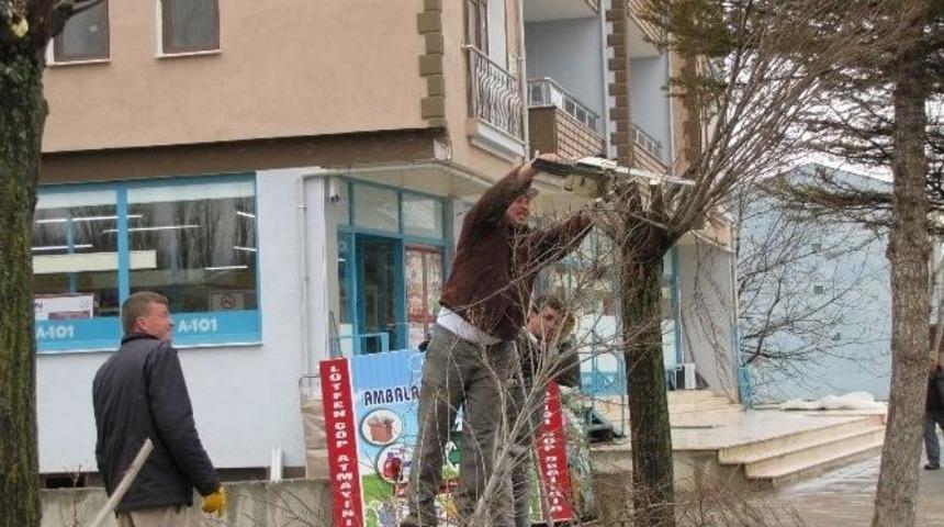 Hisarcık Belediyesi’nden Ağaç Budama Çalışmaları