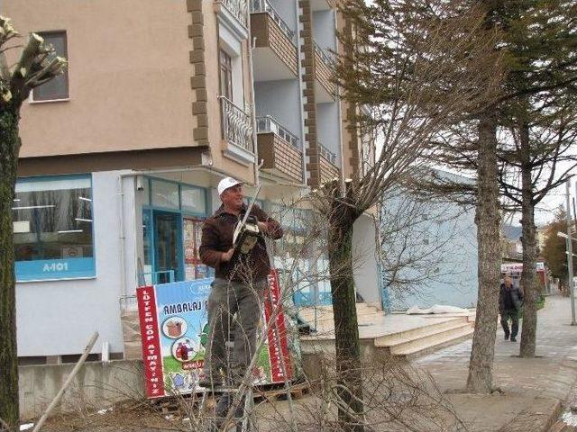 Hisarcık Belediyesi’nden Ağaç Budama Çalışmaları