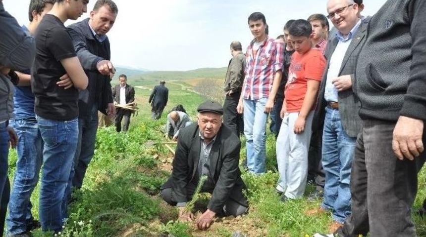 İneg&ouml;ll&uuml; Mobilyacılar 600 Fidanı Toprakla Buluşturdu