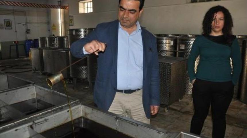 İsmail Acar: Zeytinyağı Fiyatları Artmaya Devam Edecek