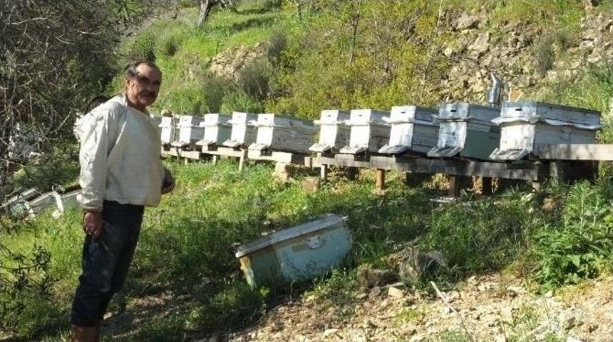 Burhaniye&rsquo;de Emekli Ziraat&ccedil;ı &Ouml;rnek Arıcı Oldu
