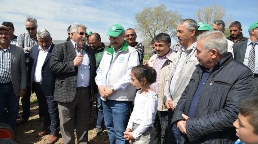 Kayseri Şeker Pancar Ekim G&uuml;nleri Başladı