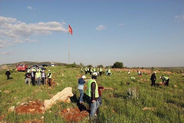 ‘gtb Hatıra Ormanı’ Kuruldu